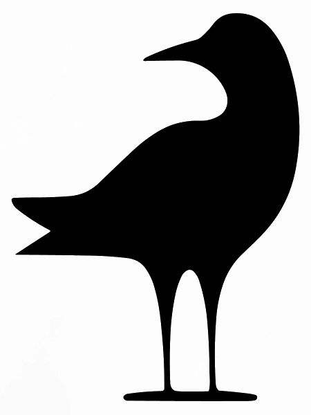 Seagull