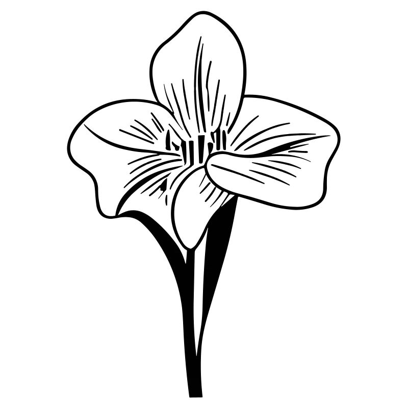Blume