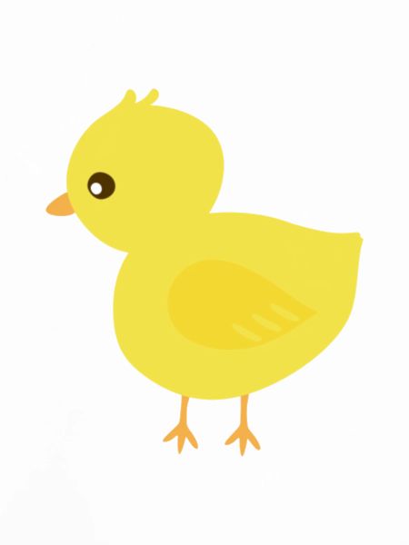 Küken