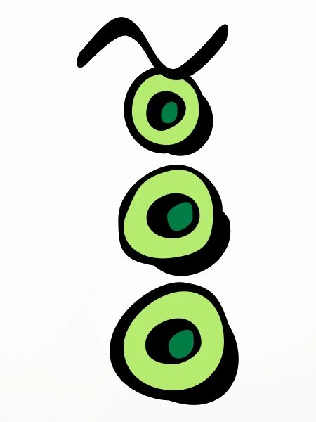 tentakel_p