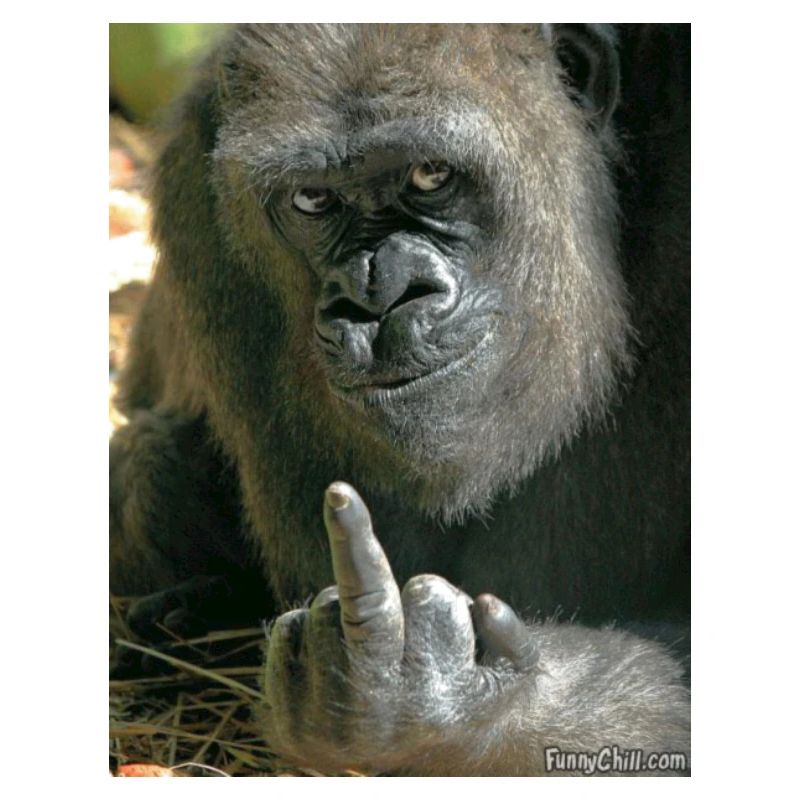 Lustiger Gorilla