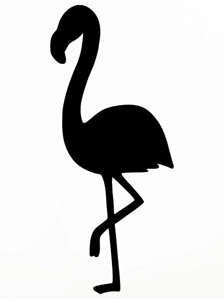 Flamingo 2