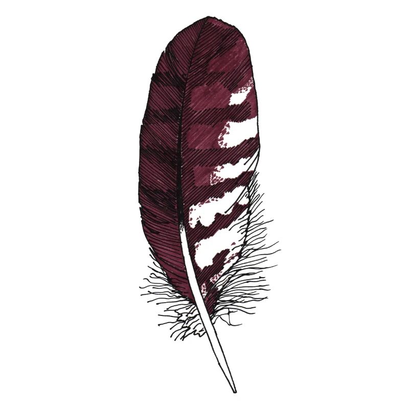 Small feather brown hand-drawn (buzzard)