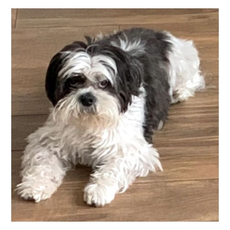 Milo