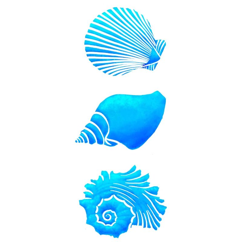 Seashells
