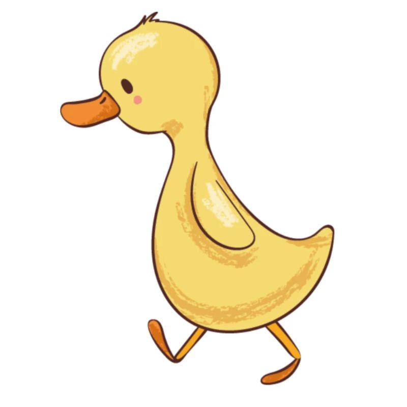 duck