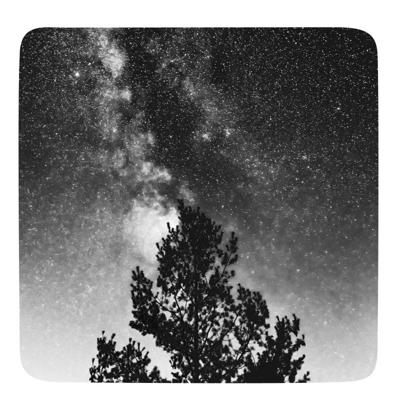 Der Kosmische Baum