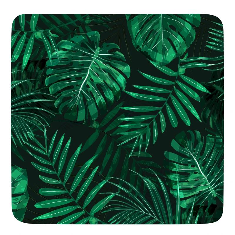 Fougère tropicale surmontée de feuilles de forêt tropicale