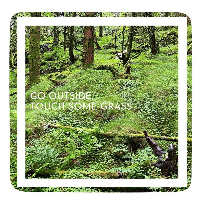 Go outside, touch some grass. Go outside...