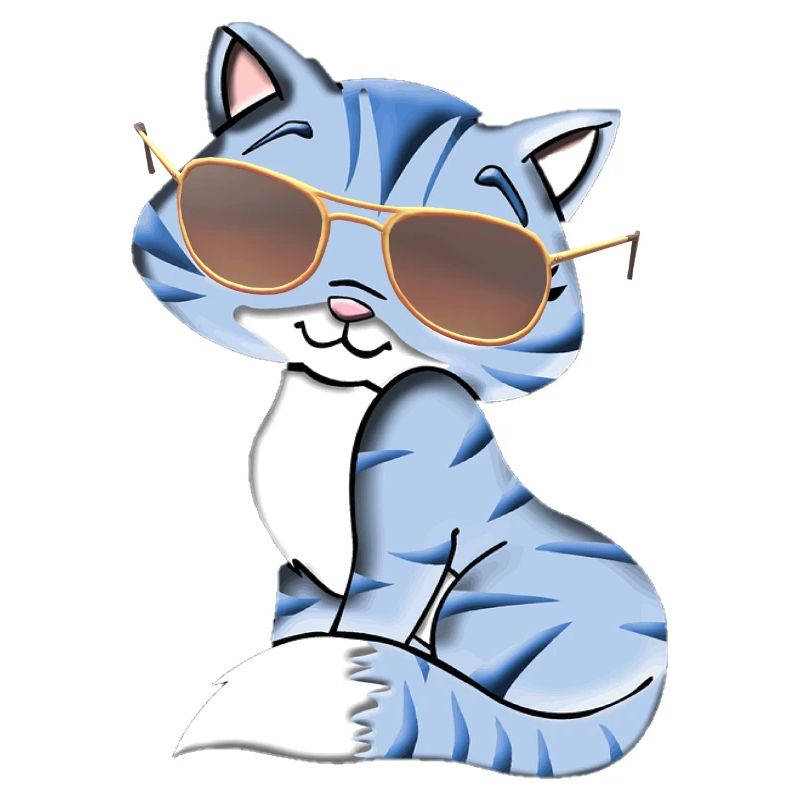coole Katze