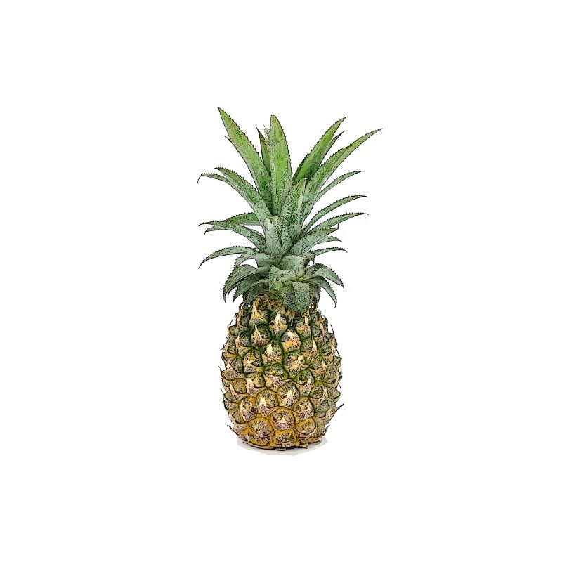 Ananas | Pineapple