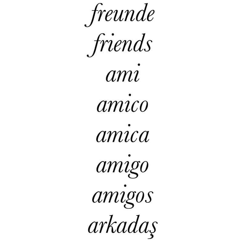 Amis dans différentes langues Design Shirt