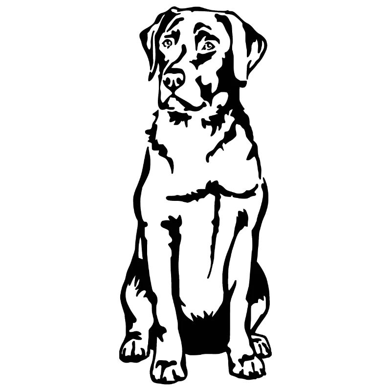 Labrador