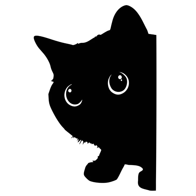 Black kitty