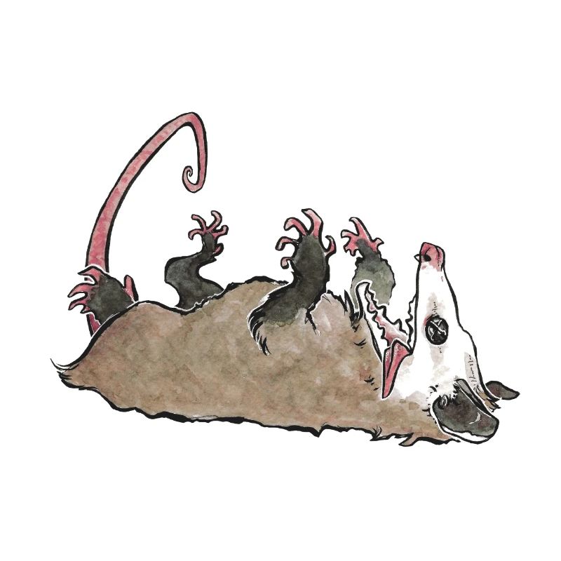 Ughpossum