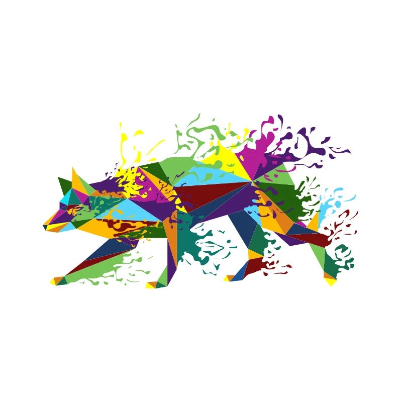 Splashing Border Collie