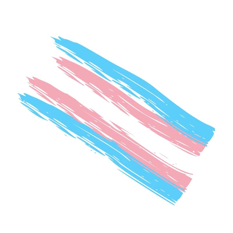 trans Prideflagge