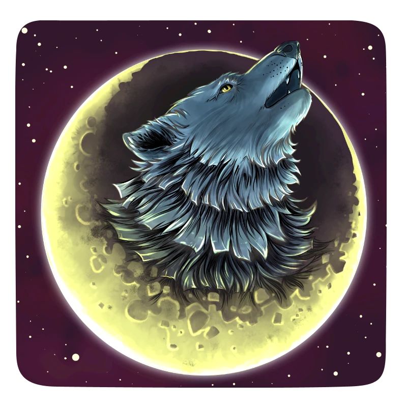 Ein Wolf im Mond