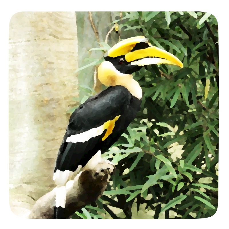 Tier Nashornvogel