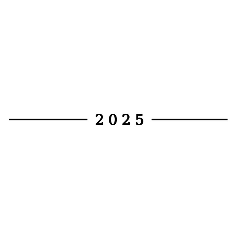 2025 year