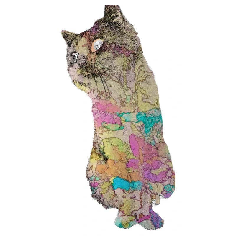 Catspiration