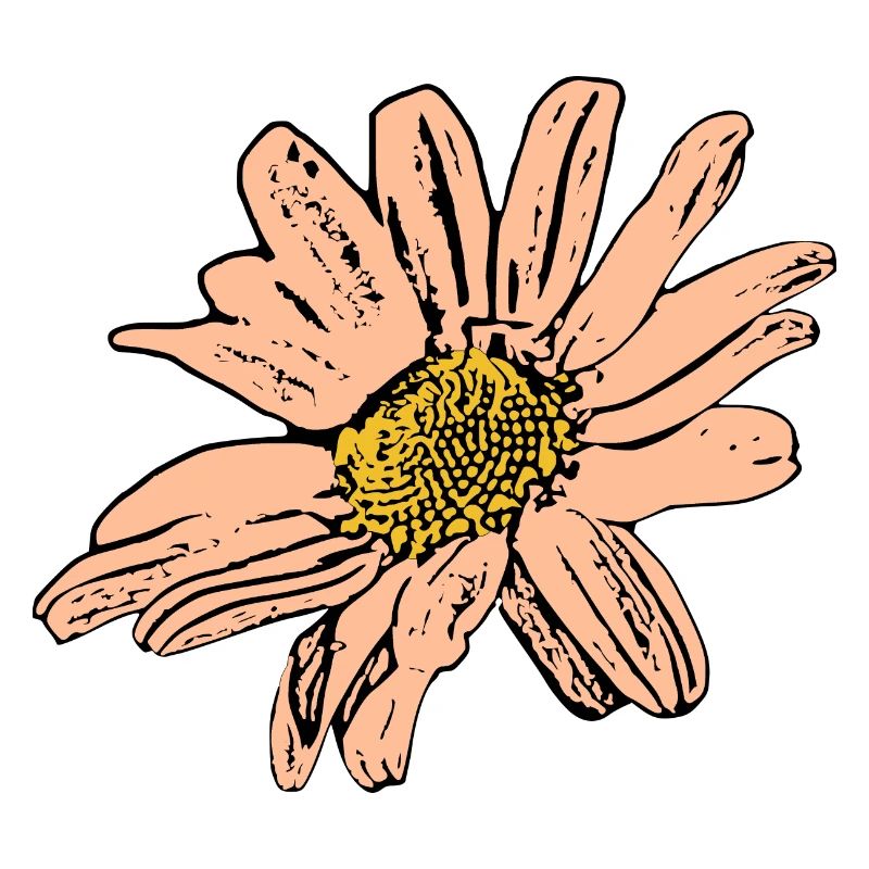 Fleur Pastel Fleurs Fleurs Pastel