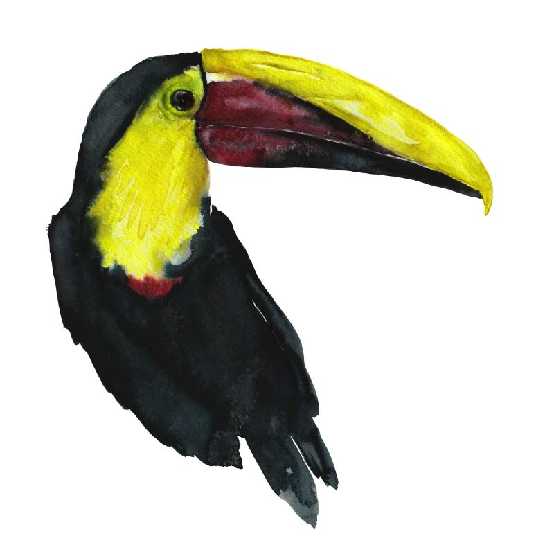 Tukan