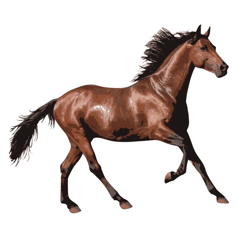 Pferd