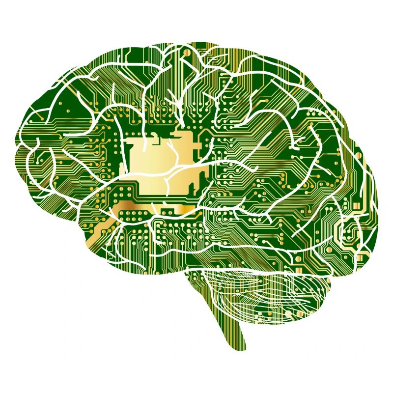 Brain circuitry, electronics
