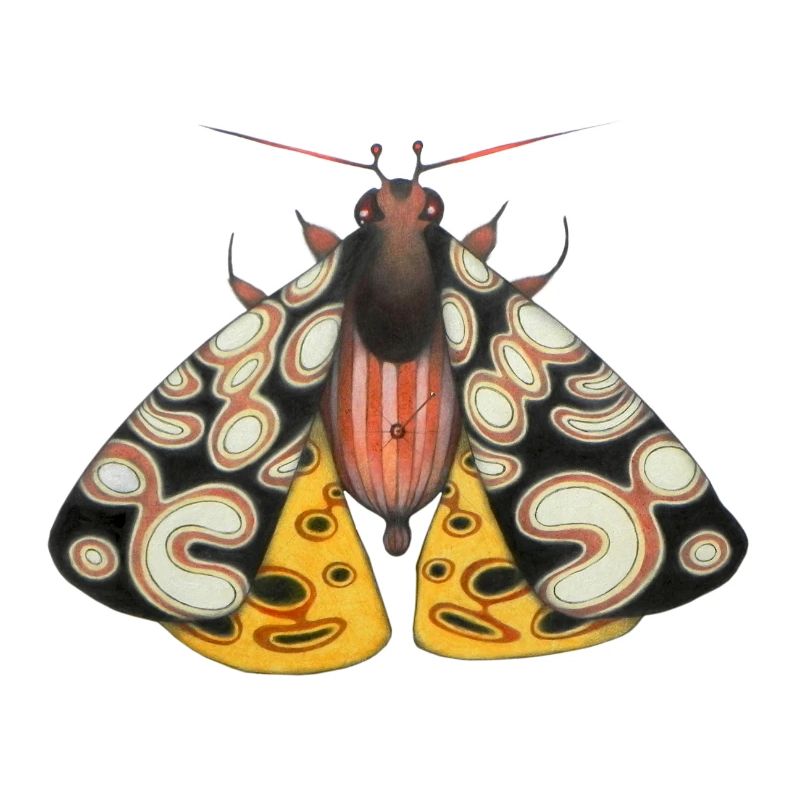Moth schwarz und gelb