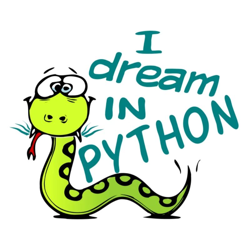 Python programmer