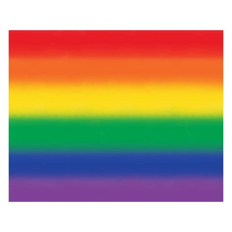 Rainbow / pride