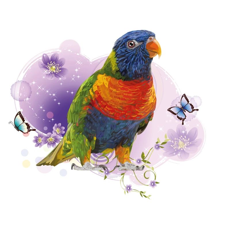 Regenbogen lori
