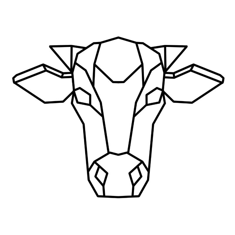 Kuh geometric