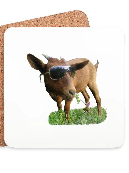 Ziege mit Brille