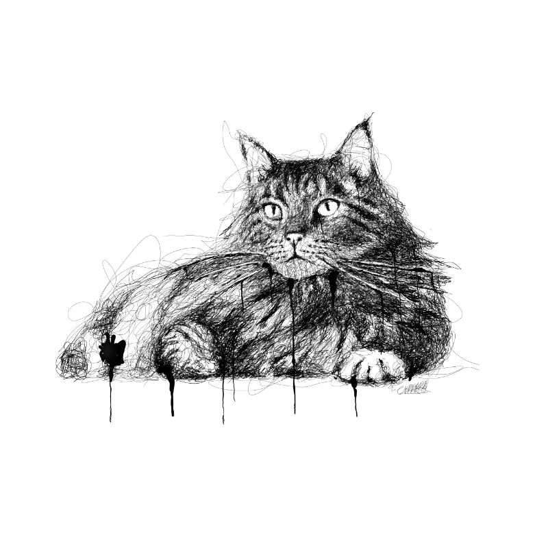 die Katze