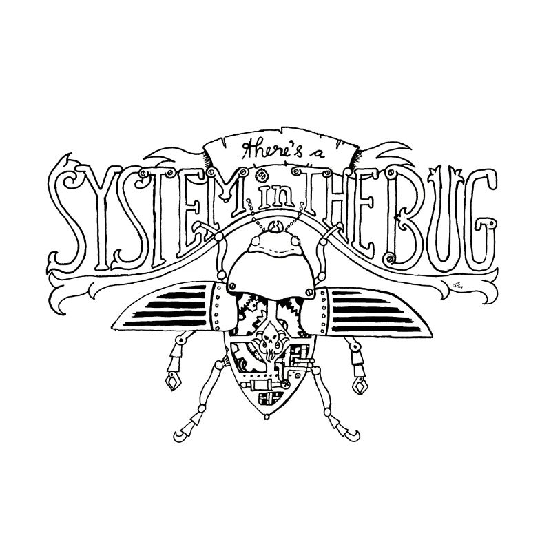 System in the Bug