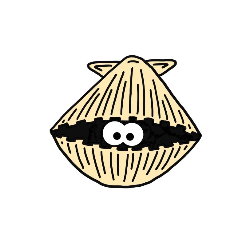 Muschel / clam / shell