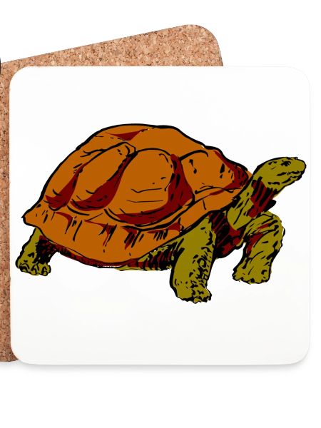 Schildkröte