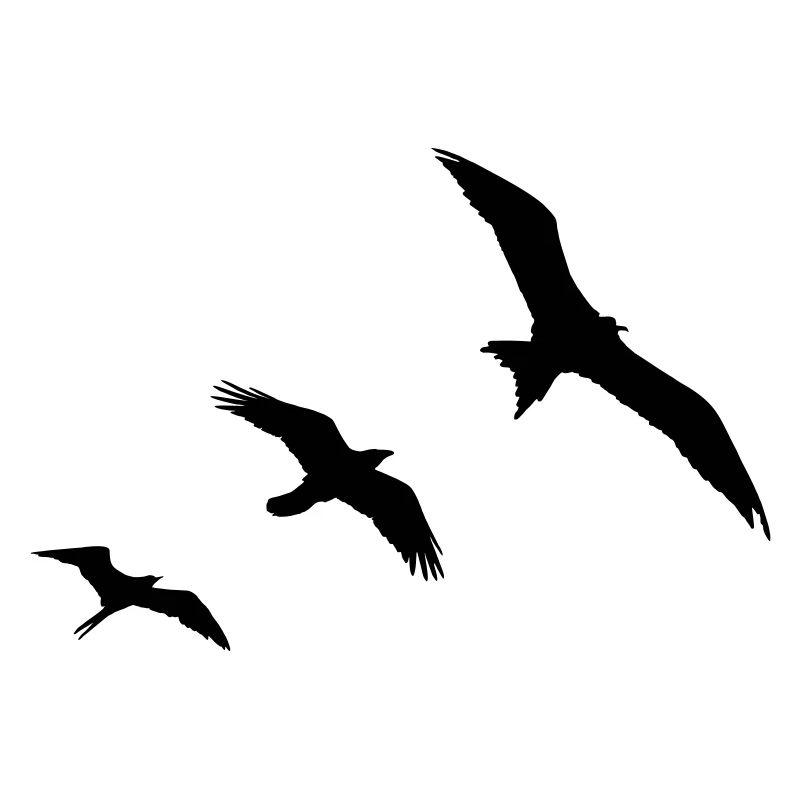 Vögel