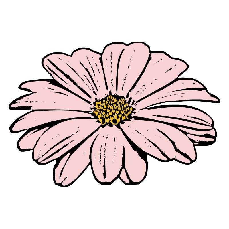 Fleur Rose Fleur Rose Fleurs Rose Fleurs Rose