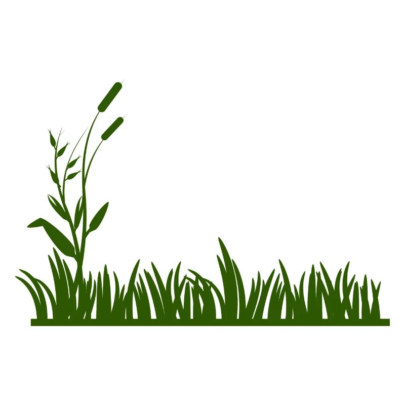 Grass