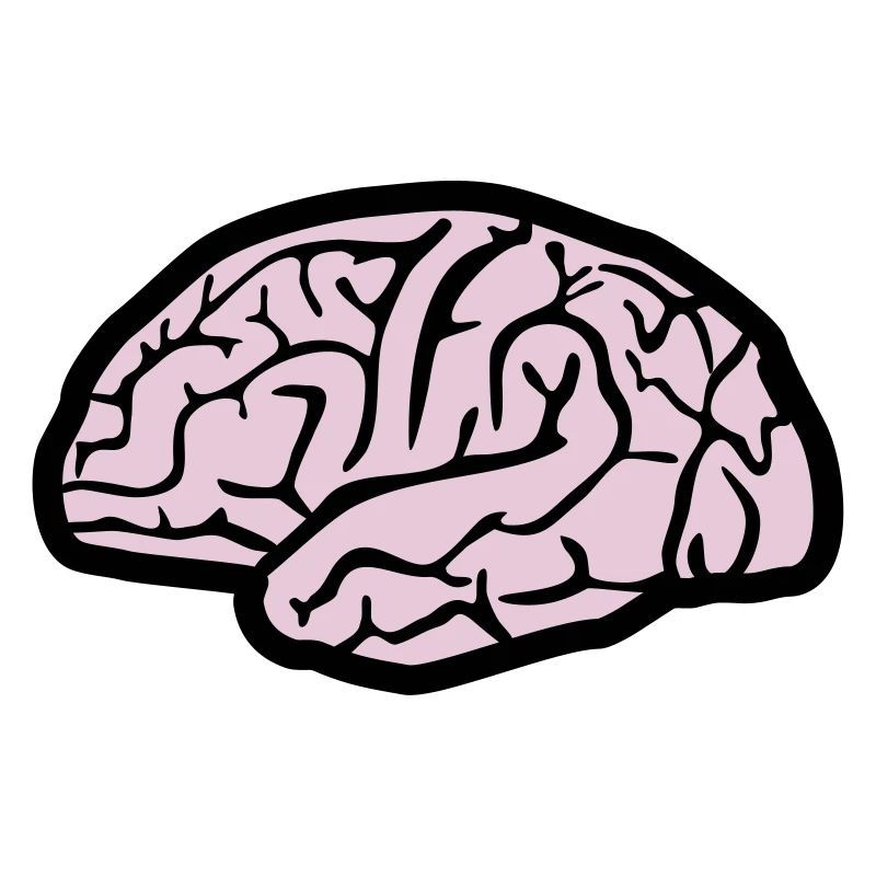 Brain