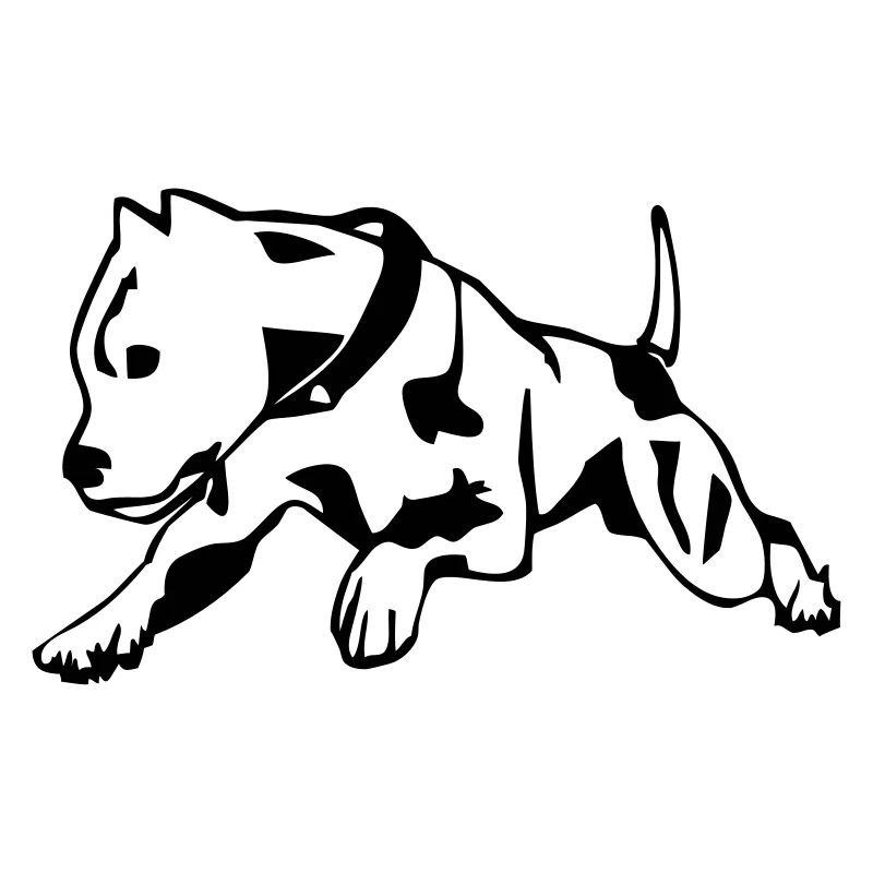 Pit Bull