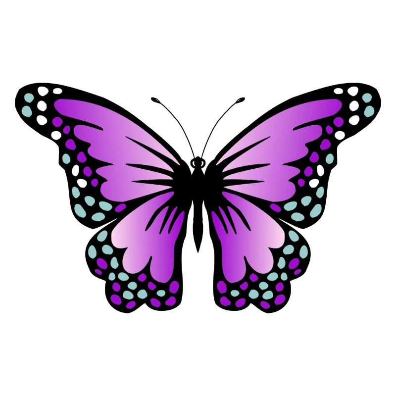 papillon