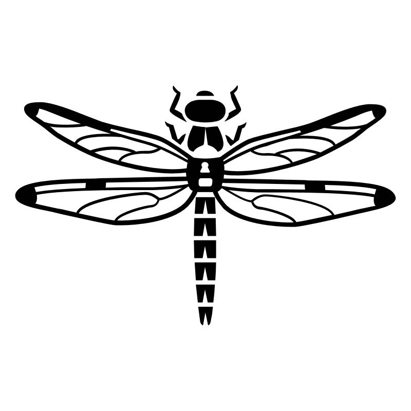 Dragonfly - insectes