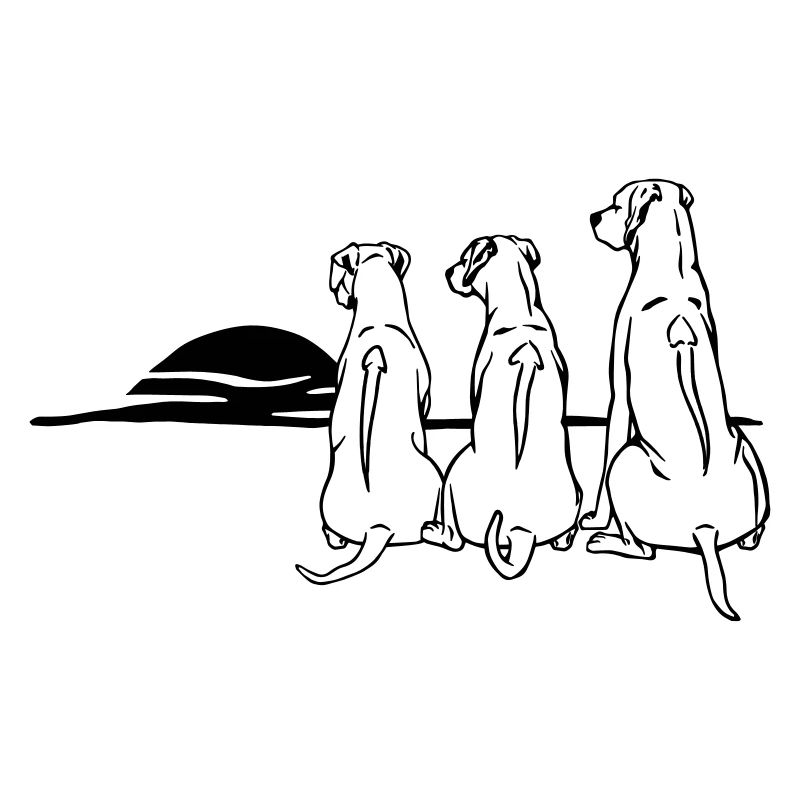 3 Rhodesian Ridgeback