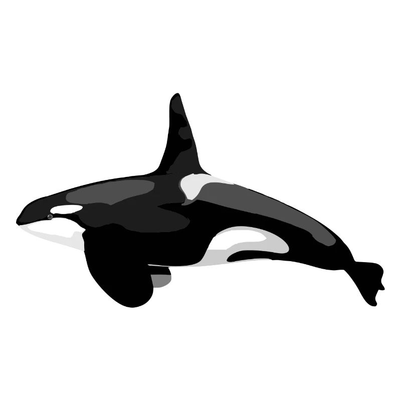 Orca