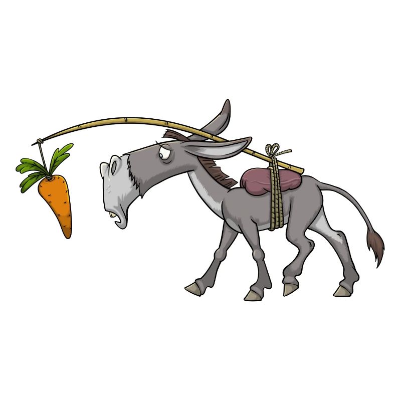 Donkey mule mule