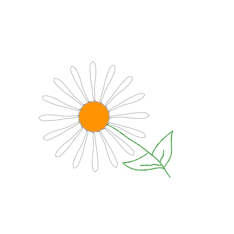 Sonnenblume